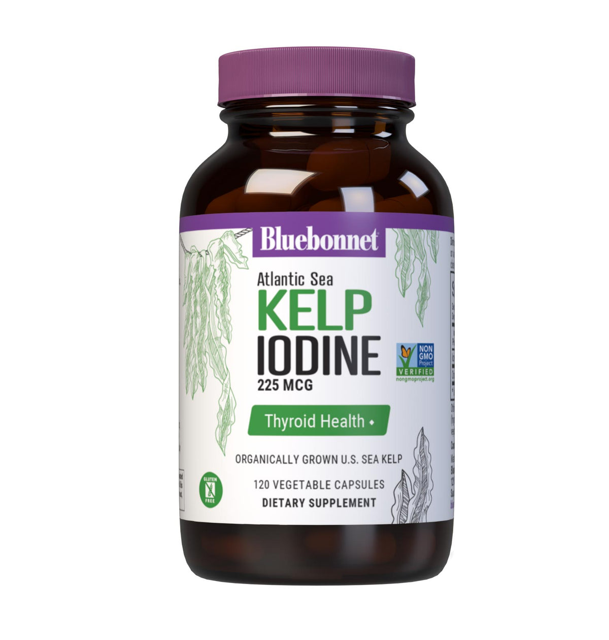 Atlantic Sea KELP IODINE by Bluebonnet