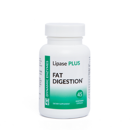 Lipase Plus Fat Digestion