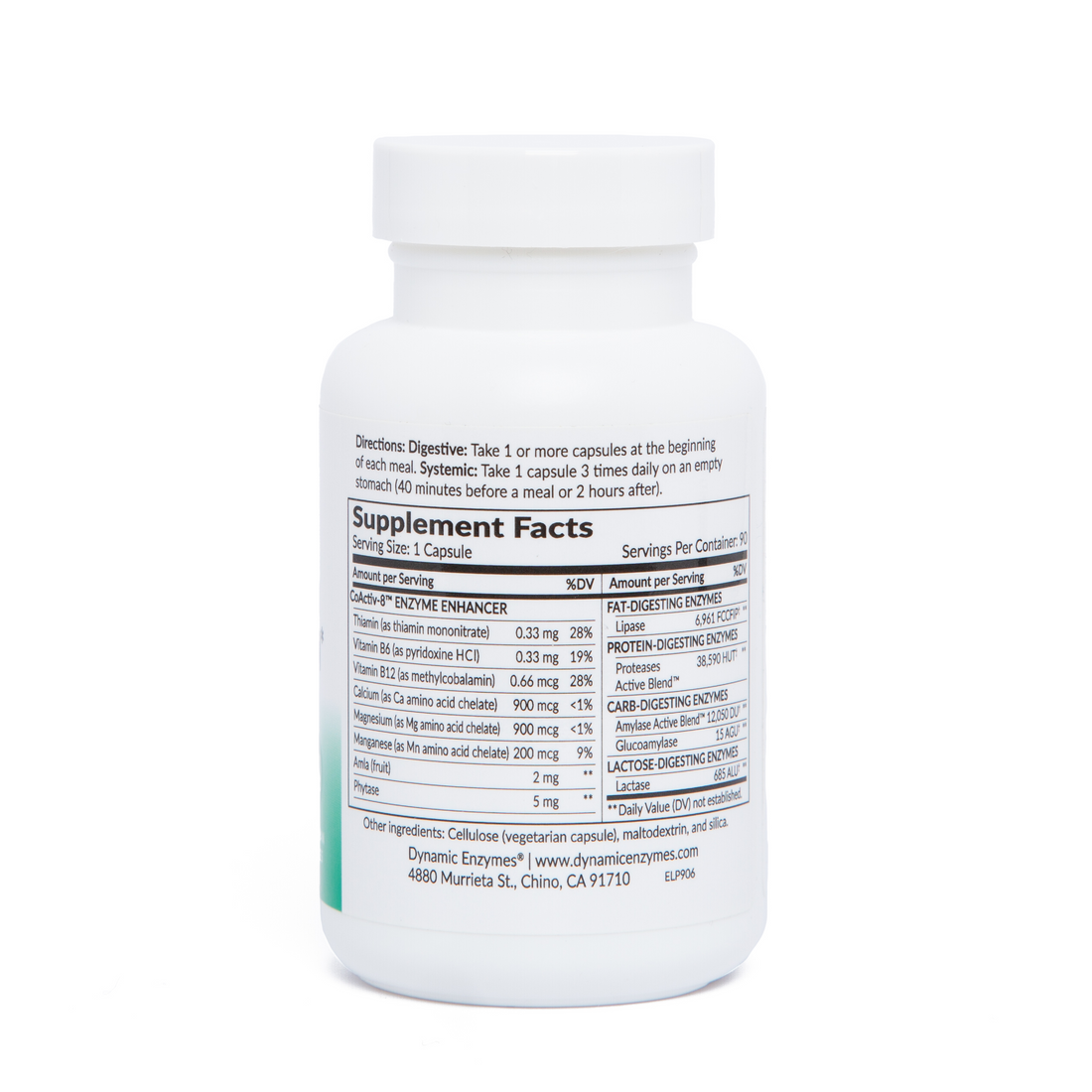 Lipase Plus Fat Digestion